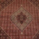 6'11'' X 10'3'' Persian Beijar Medallion Semi-Antique Rust Rectangle Wool Rug - Direct Rug Import | Rugs in Chicago, Indiana,South Bend,Granger