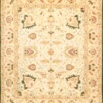 8'2"x9'10" Decorative Ivory Wool Hand-Knotted Rug