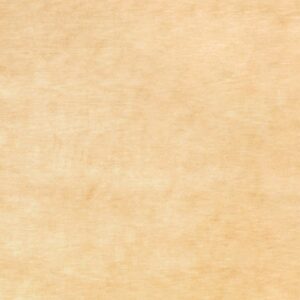 9'x12' Contemporary Tan Wool Hand-Knotted Rug