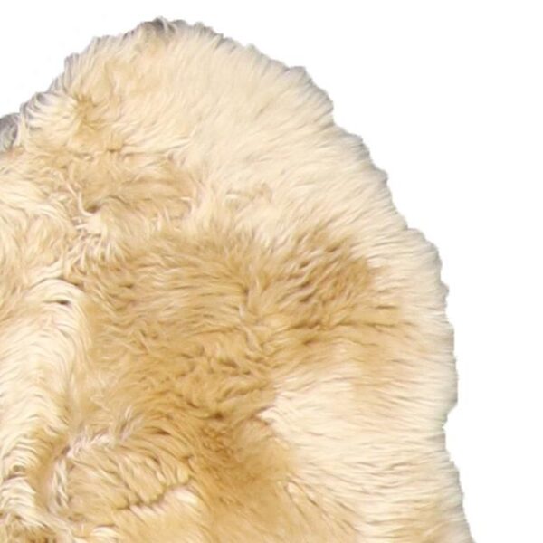 3’7”x6’2” Contemporary Gold Wool Hand-Knotted Rug - Direct Rug Import | Rugs in Chicago, Indiana,South Bend,Granger