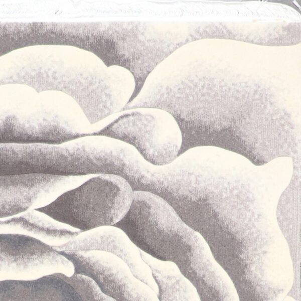 6’3”x9’6” Decorative Ivory & Gray Wool Hand-Finished Rug - Direct Rug Import | Rugs in Chicago, Indiana,South Bend,Granger