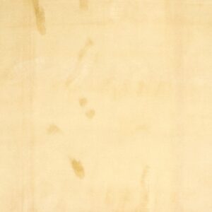 8’6”x9’ Traditional Gold Aubusson Wool Hand-Knotted Rug
