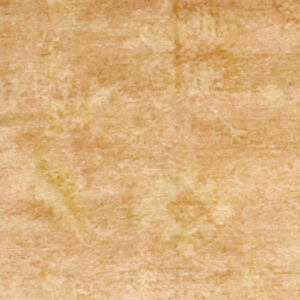 8’3″x9’8″ Traditional Peach & Gold Wool & Silk Hand-Knotted Rug