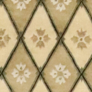 2’8″x5’8″ Transitional Tan & Black Wool Hand-Knotted Rug