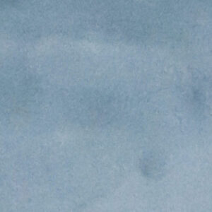 3’x5’2″ Aubusson Blue & Light Blue Wool Hand-Knotted Rug