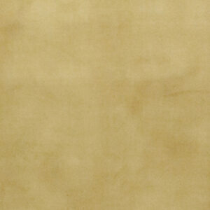 8’1″x10’11″ Transitional Gold, Cream, & Black Wool & Silk Hand-Knotted Rug